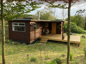 Cozy and peaceful cabin 15 mins from Lyme Regis
